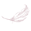 Elegant-Rosmarin-organisch-Logo-1.png